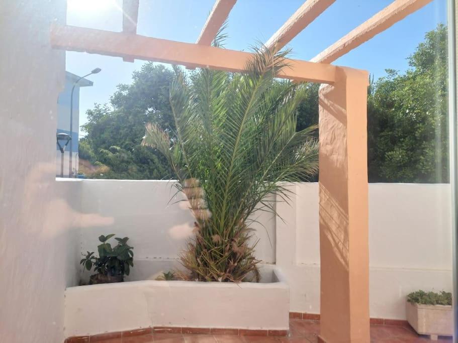Piscina, Wifi, Patio Con Vistas Daire Tarifa Dış mekan fotoğraf