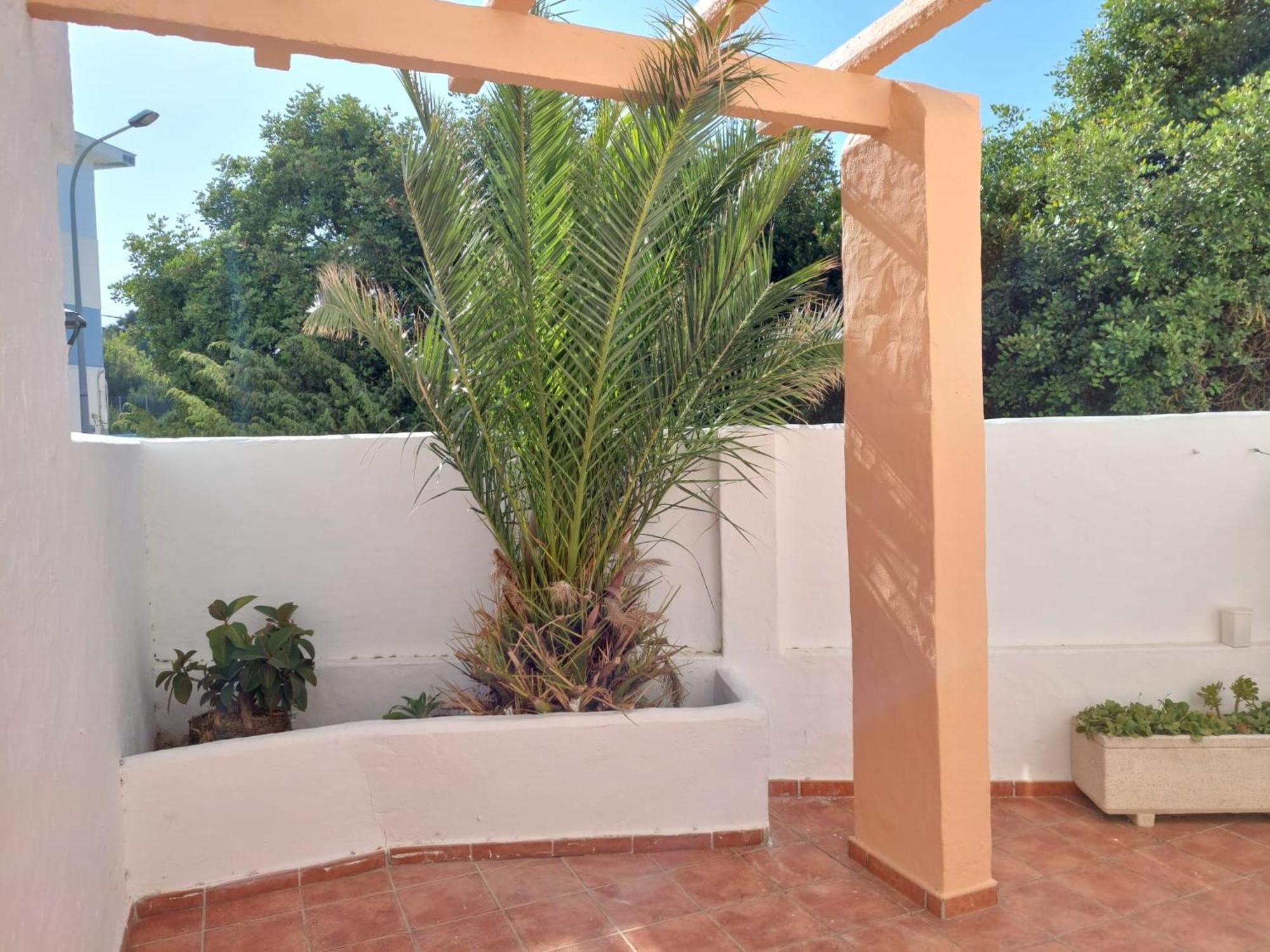 Piscina, Wifi, Patio Con Vistas Daire Tarifa Dış mekan fotoğraf