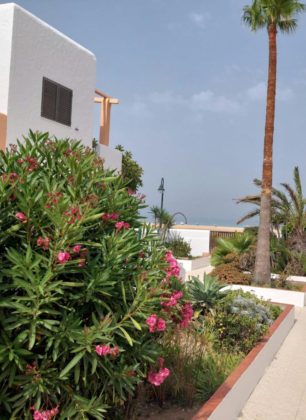 Piscina, Wifi, Patio Con Vistas Daire Tarifa Dış mekan fotoğraf